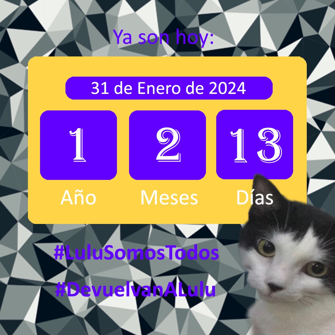 NuriTrejo's tweet photo. #31Ener #LuluSomosTodos Otro mes termina sin que hayas vuelto. #Seguimos, sabemos  que nos esperas. Es más que un anhelo, #LuluEsElMilagro. En tu hogar con la #Familia que no te olvida. Te clamo, Señor, #DevuelvanALulu Amén 🙏#Respeto y #Vida DaRt, ❤️ https://t.co/dvD929ieNL