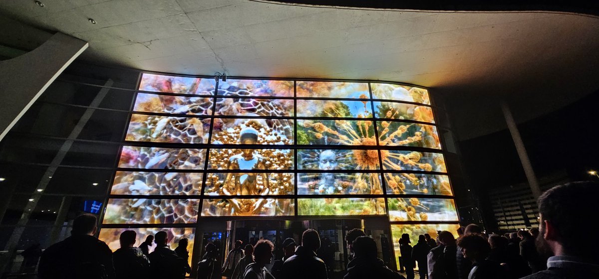 Marta Maria Peinador tweet media