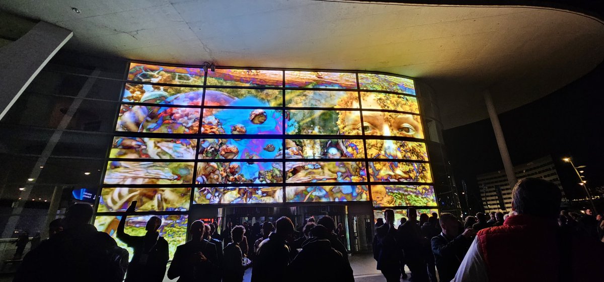 Marta Maria Peinador tweet media