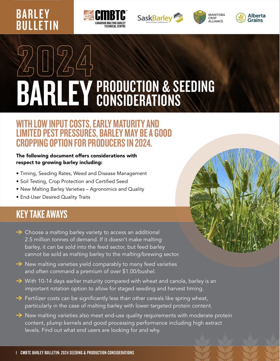 canadianbarley's tweet photo. Undecided on your last quarter section? Consider barley! 

Fertilizer costs are notably lower, especially for malting barley with lower targeted protein content. 

Explore our 2024 Barley Seeding &amp; Production considerations: https://t.co/31rYv4H6HT https://t.co/GV9ZJfwFVz