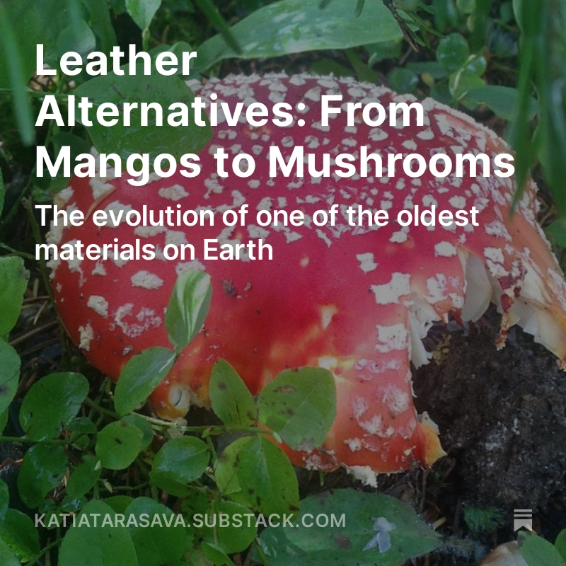This week in my blog post I'm talking about the evolution of #leather: from animal hides to synthetics to now plant-based materials and #mushroomleather. 

Read more about how #syntheticbiology is revolutionizing #materials: 

tinyurl.com/yc42djkz