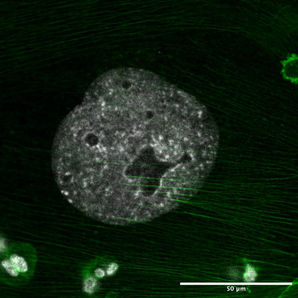 Garrett Beeghly, PhD tweet media