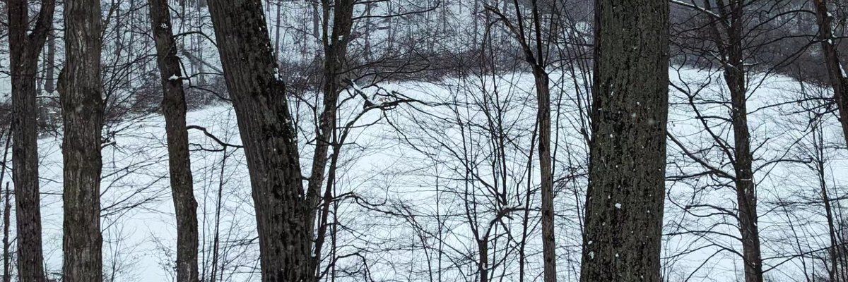 I can't wait to go on some more adventures. It's much needed.
#adventure #nature