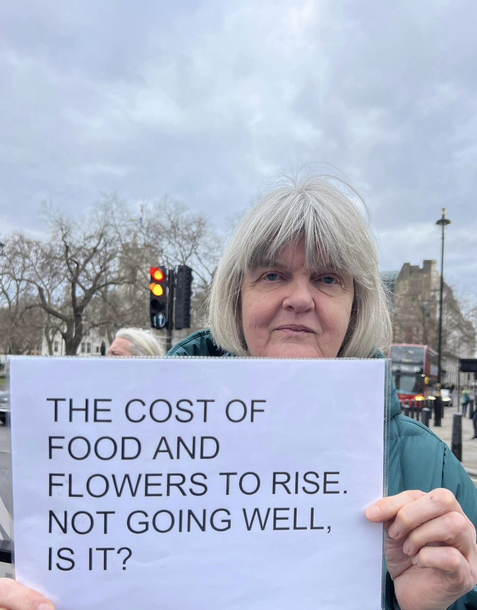 Today, outside Parliament with my friend @riotgrandma72 #BrexitChecks begin today. Prices will rise! Not going well, is it? (Thank you @WingletLove for the photos)