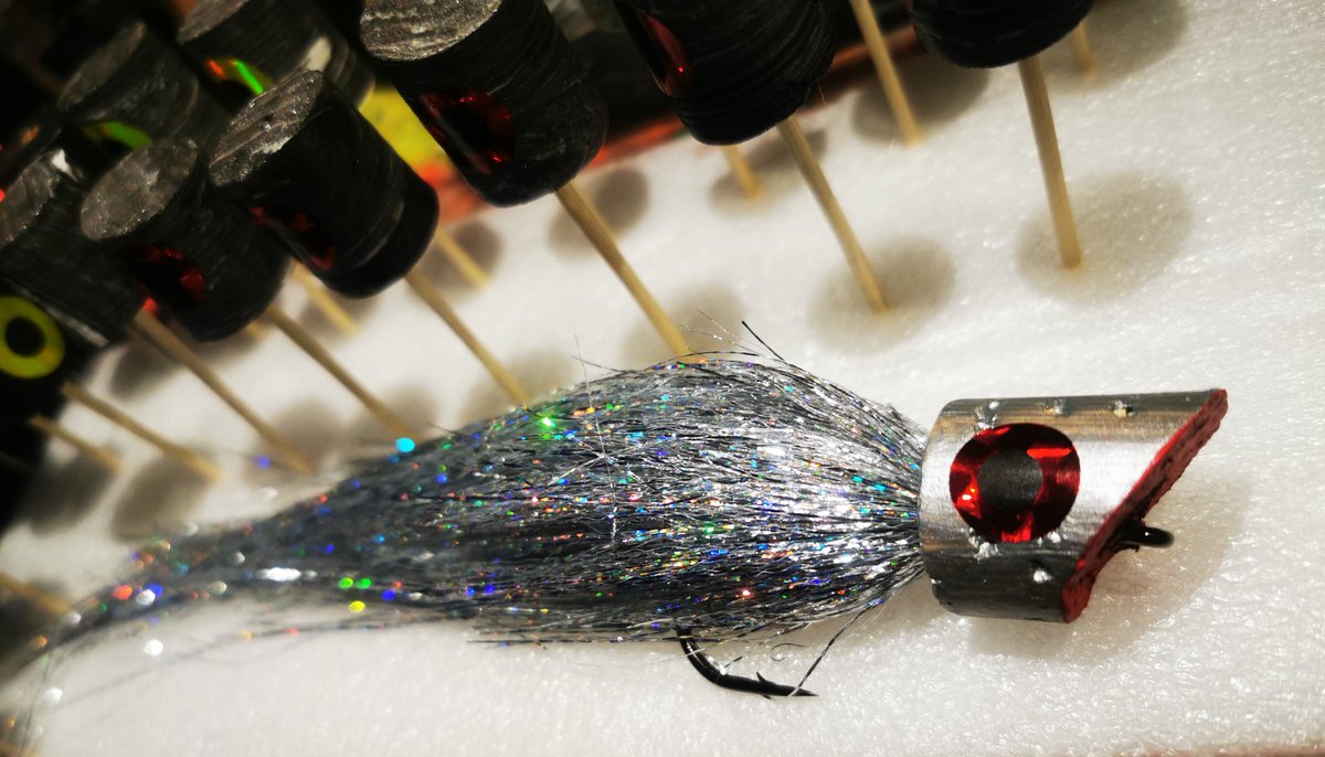 Walking the dog Robert the roach heading to the Carribbean 🤘🏴󠁧󠁢󠁳󠁣󠁴󠁿🦐