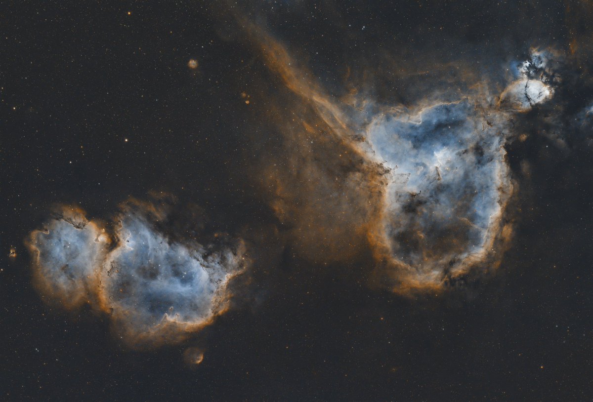 Russell’s Astrophotography tweet media