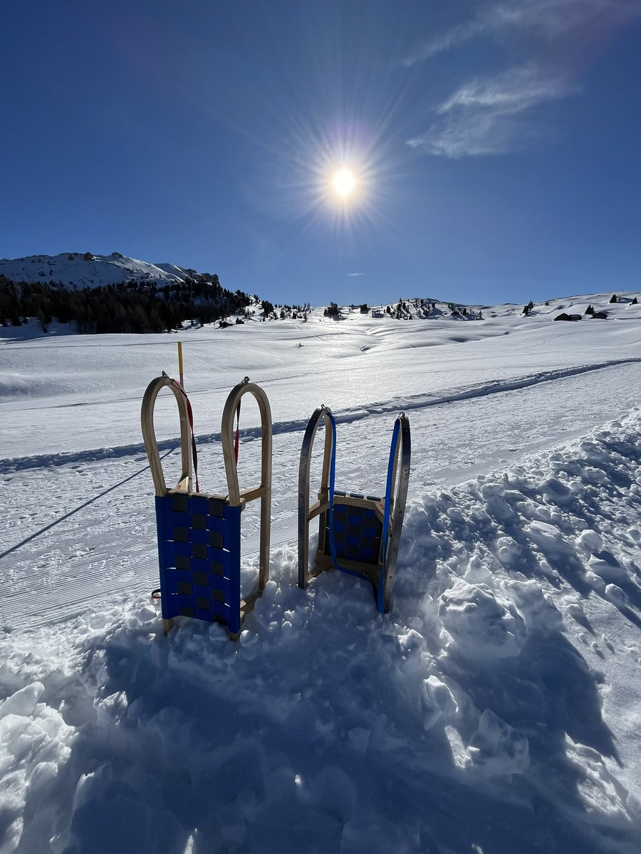 holimites tweet media