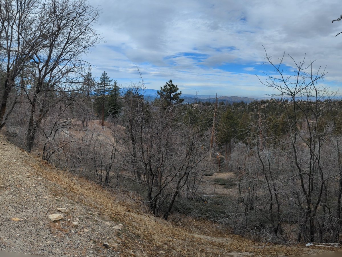 vividvoid's tweet photo. Today's office: the San Bernardino Mountains https://t.co/bYyMg6CPI6