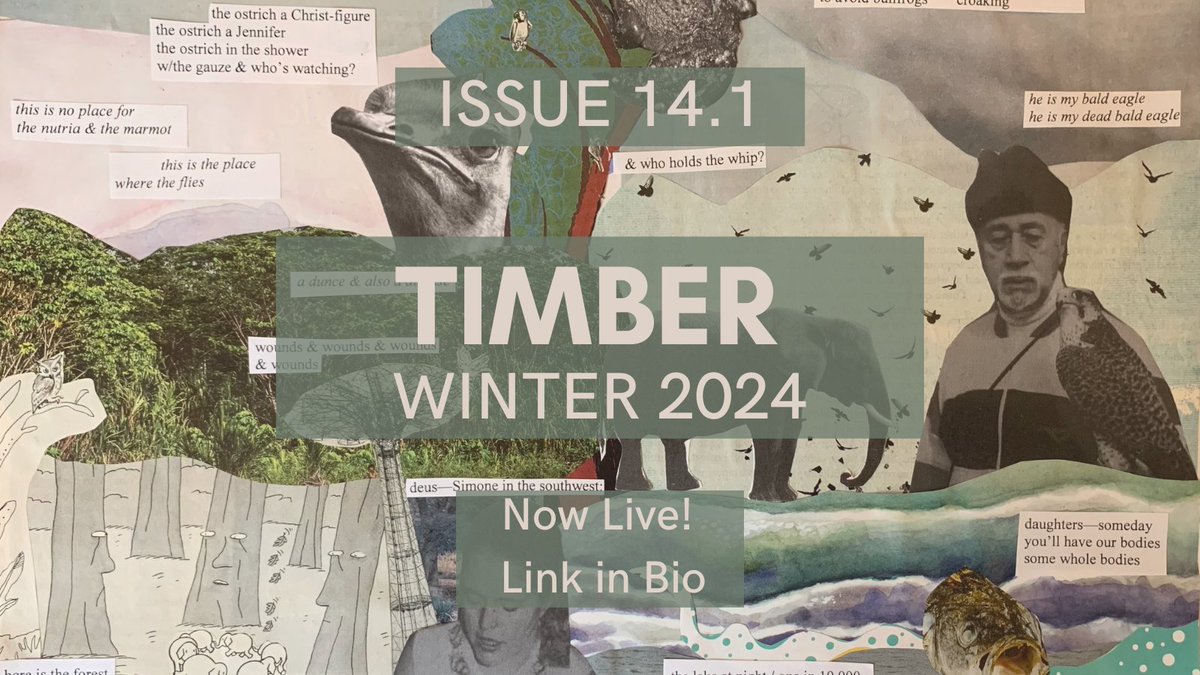 Babe, TIMBER just dropped another issue! Head on over to our website for your fill of poetry, prose, and everything in between. You'll find work that takes risks, pushes boundaries, and rocks your world. 🌎