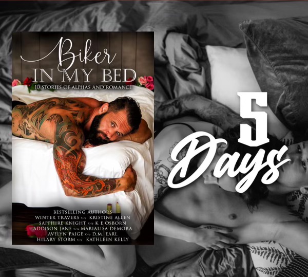 🖤 Five Days 🖤 Preorder —> books2read.com/bikerinmybed Fall into bed with 10 bikers this Valentine’s!