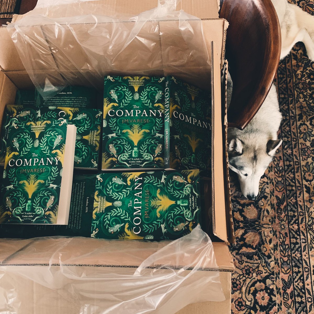 The paperbacks have arrived.

#thecompany #fiction #gothicfiction #gothicthriller #gothic #historicalfiction #historicalthriller #victoriana #arsenic #arsenicscandal #wallpaper #books #booktwitter