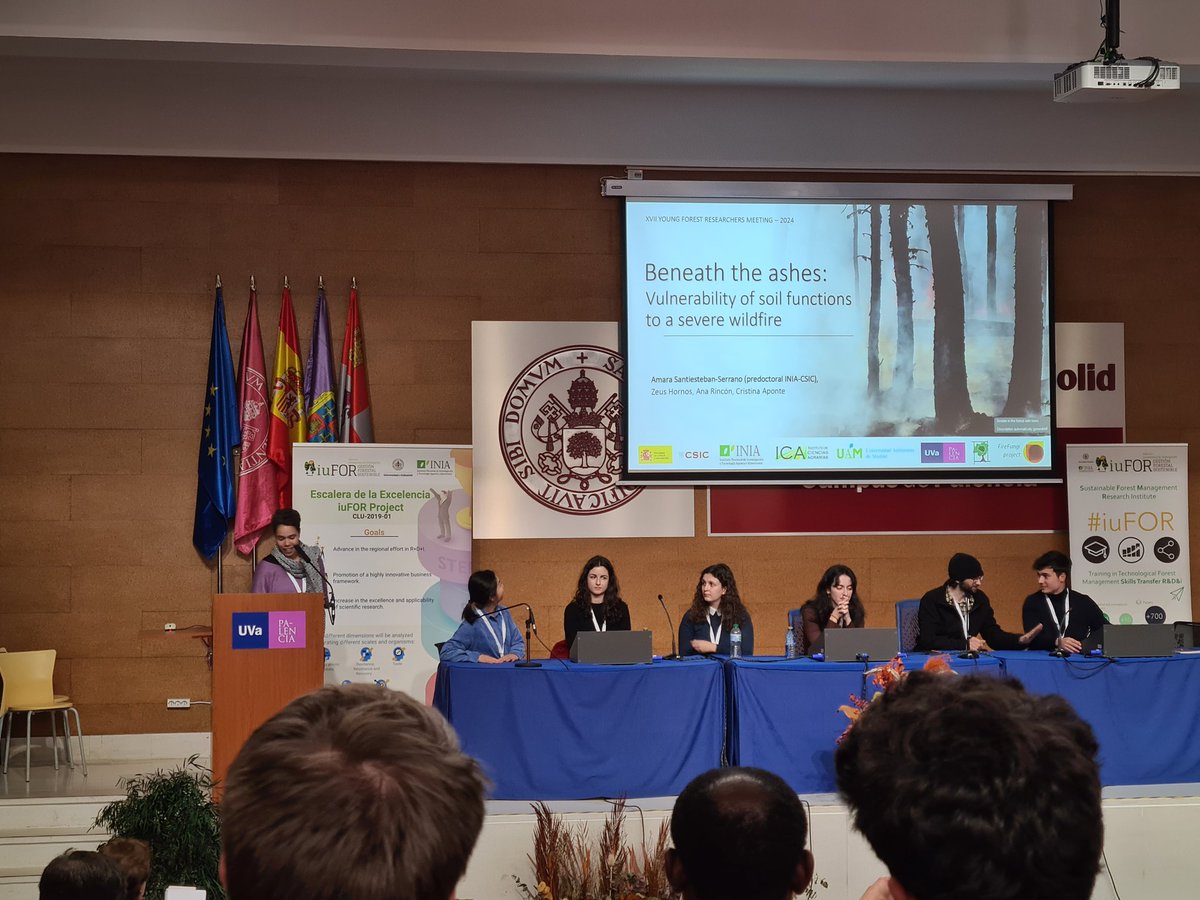 caponte__'s tweet photo. Today we have been talking about the role of soil biodiversity in forest ecosystem functioning & how wildfires impact soil multifunctionality with the promising young foresters participants of #YF24!! 🌲🍄🔥 #MEDFOR #soyforestal #somosiufor @amss_bio @YoungForesters @FireFungi_ https://t.co/Su8MIlNLd8