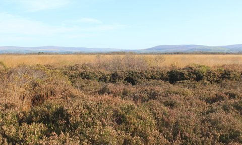 Preston Society of Birdwatching (@prestonnature) on Twitter photo 🆕Talk: Monday 5th February 19:30
The Lancashire Peatlands Initiative
by Alex Hubberstey
<a href="/Lancswildlife/">Lancashire Wildlife Trust</a> <a href="/visitpreston/">Visit Preston</a>
St Mary's Church Penwortham
Just £3 on the door for non-members 🆕Talk: Monday 5th February 19:30
The Lancashire Peatlands Initiative
by Alex Hubberstey
<a href="/Lancswildlife/">Lancashire Wildlife Trust</a> <a href="/visitpreston/">Visit Preston</a>
St Mary's Church Penwortham
Just £3 on the door for non-members