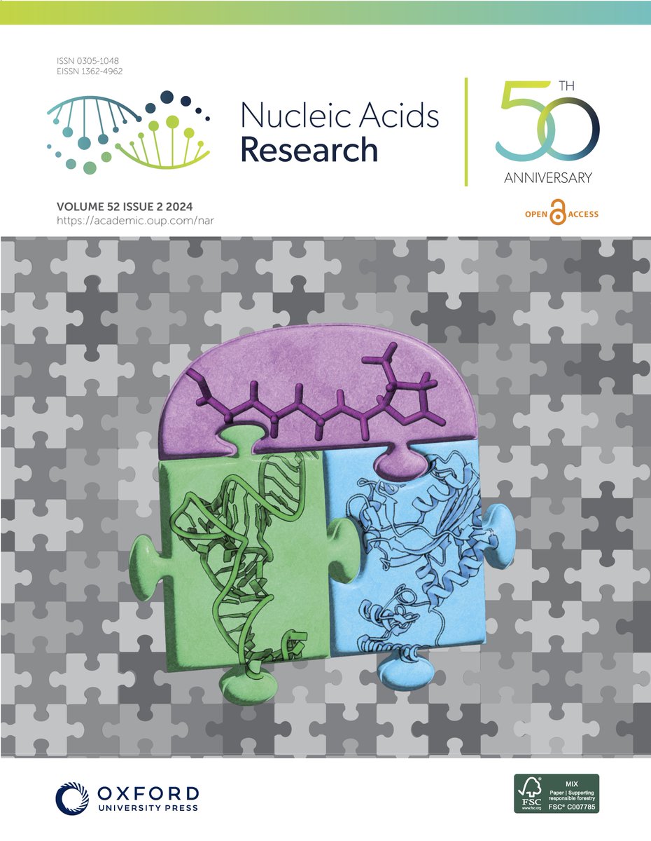 NatalieKrahn_13's tweet photo. Super excited 🎉 to have yet another @NAR_Open cover image!! We highlight how #tRNA, #aaRS and their amino acids really fit together like a puzzle🧩to translate the 22nd amino acid https://t.co/uAKbUzjMJk