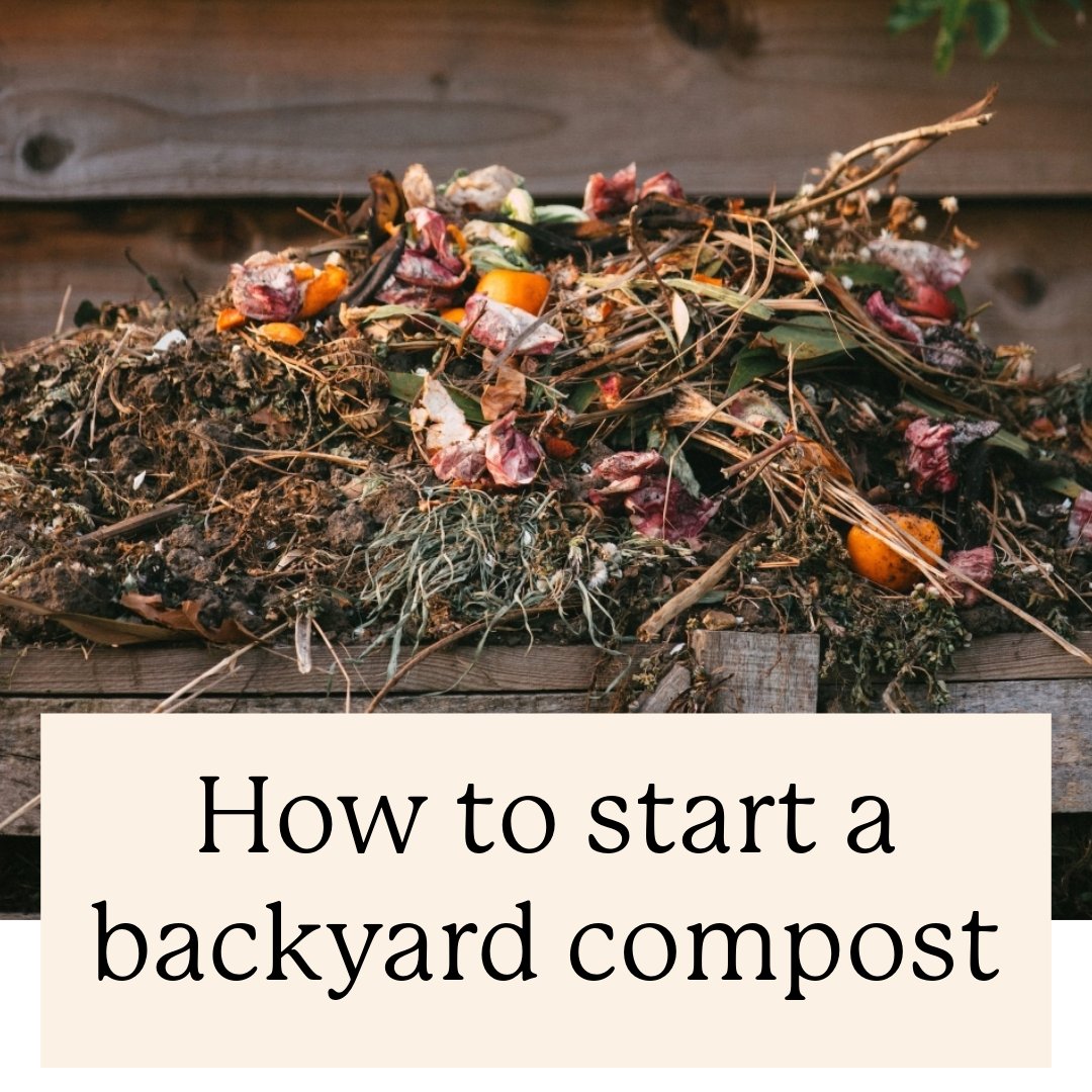 It might be winter, but it's still possible to start composting in your backyard.

If you’ve been thinking about starting your own compost pile, take advantage of a warm winter day.

Full story: bit.ly/47XLSgD