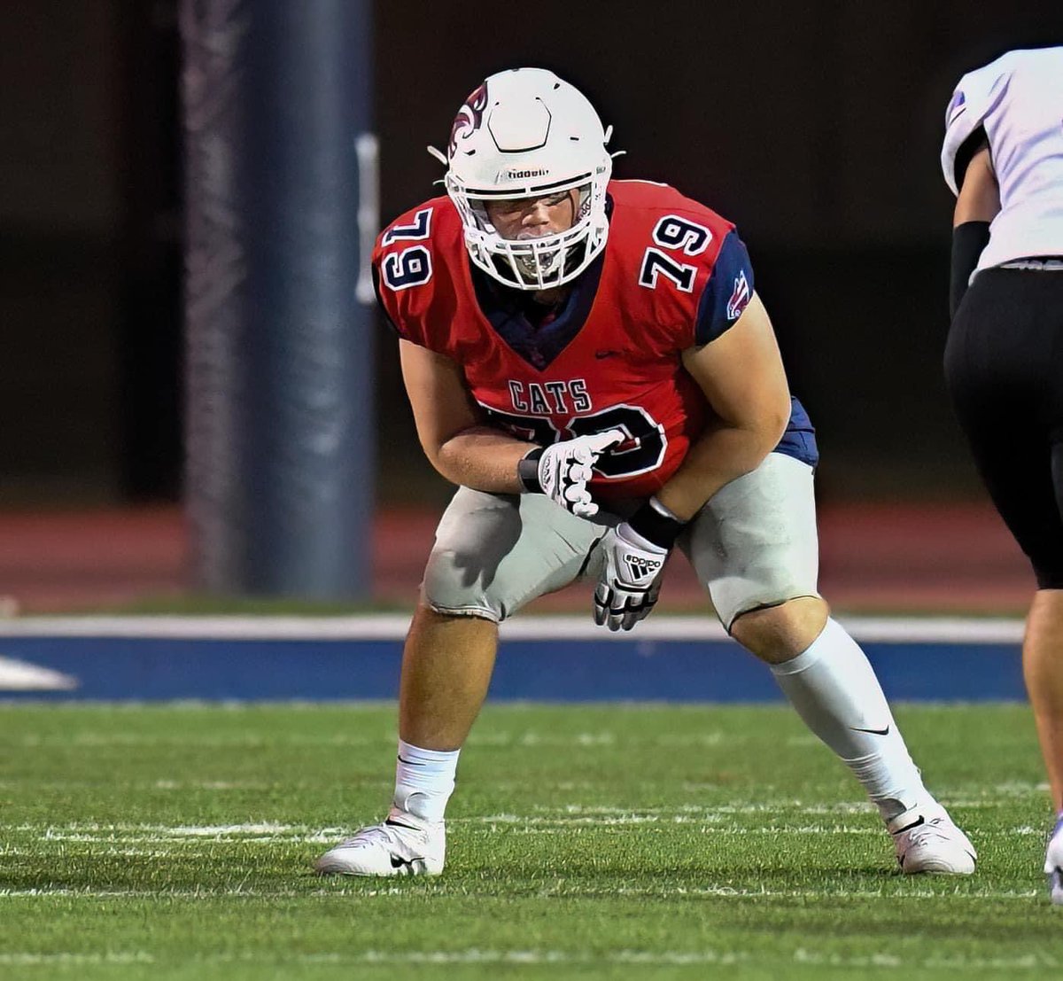 Laura Peitz tweet media