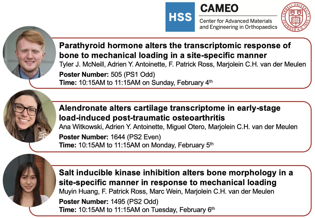 vdM_Lab (@vdm_lab) on Twitter photo We're excited to share our ongoing work at #ORS2024! Stop by the presentations from our lab to hear about what we've been up to <a href="/ORSsociety/">Orthopaedic Research Society</a> We're excited to share our ongoing work at #ORS2024! Stop by the presentations from our lab to hear about what we've been up to <a href="/ORSsociety/">Orthopaedic Research Society</a>