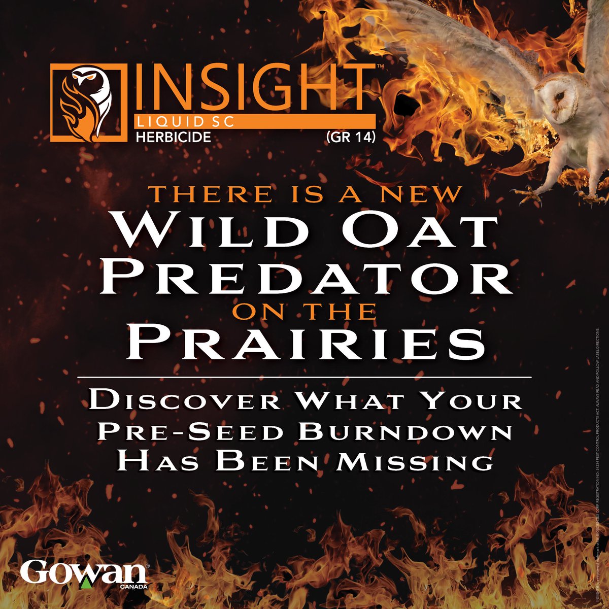 Gowan Canada tweet media