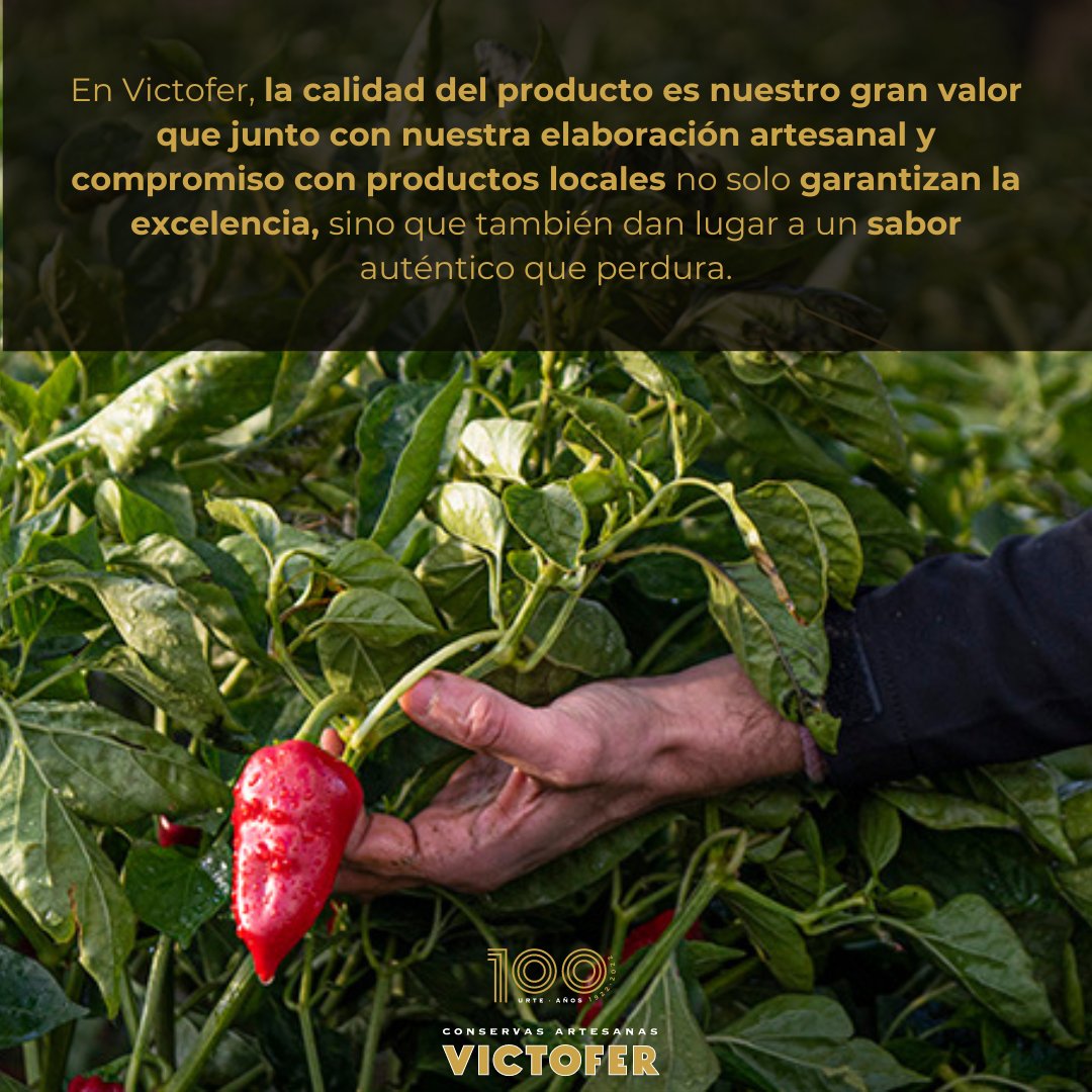 Victofer tweet media