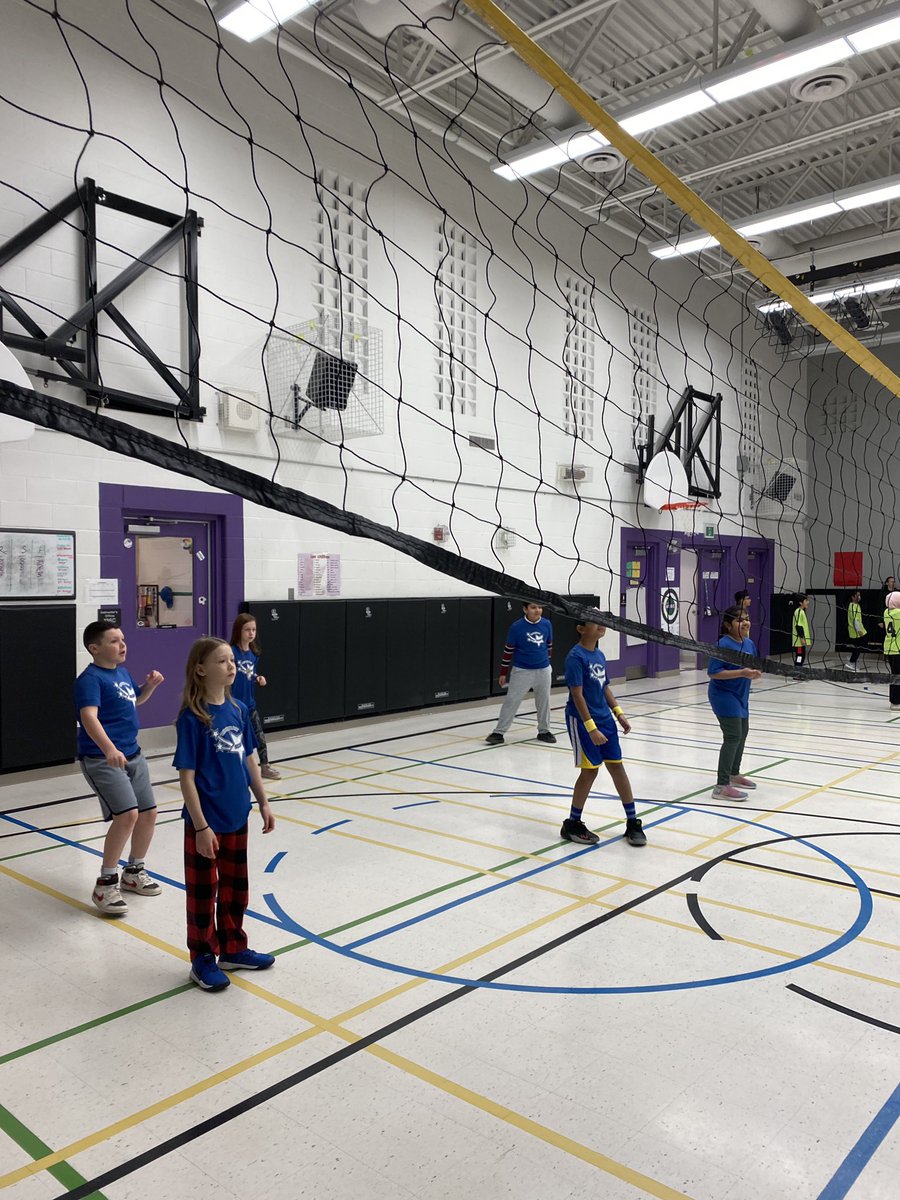 Shelter Bay Phys.ed tweet media