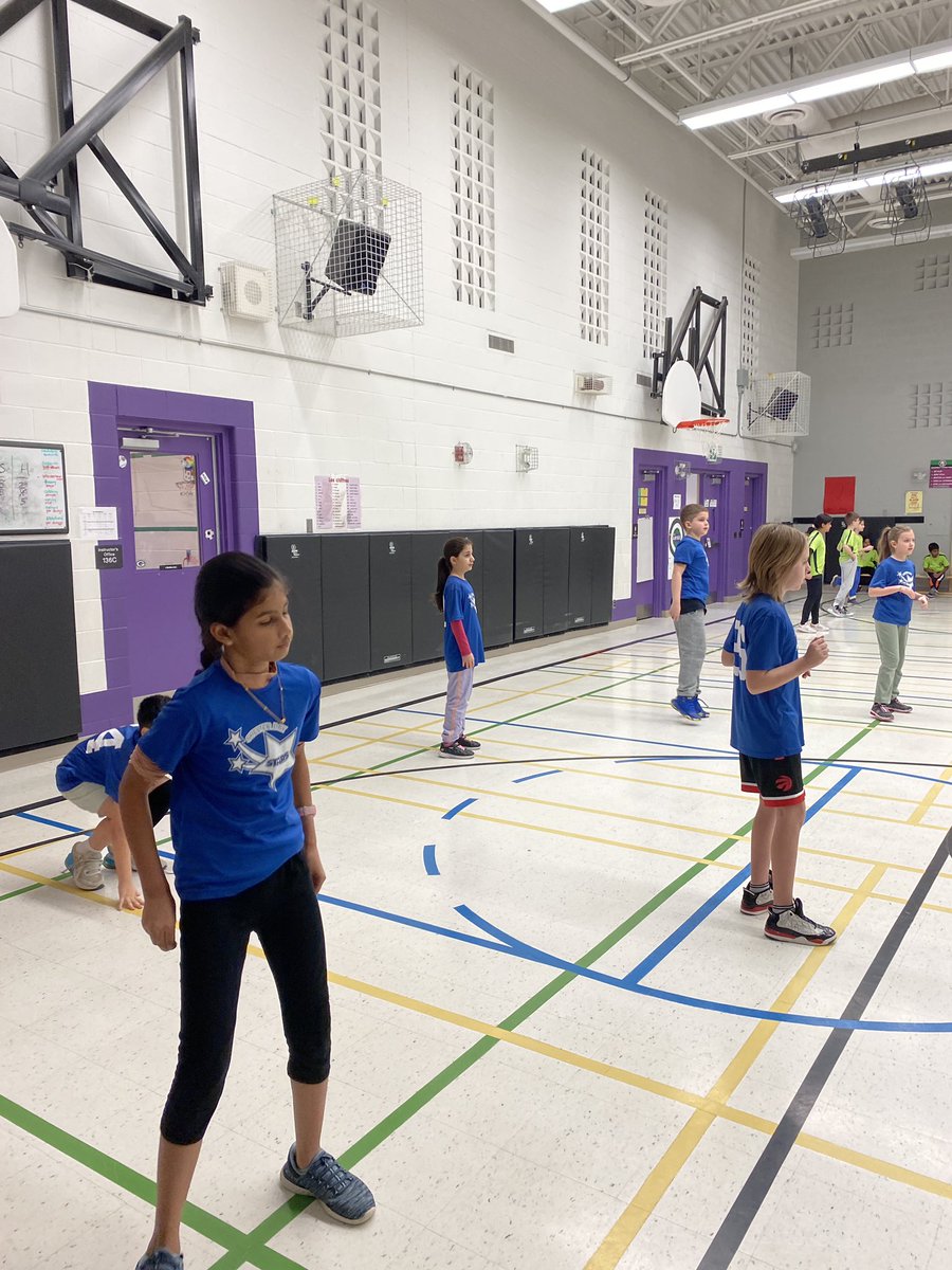 Shelter Bay Phys.ed tweet media