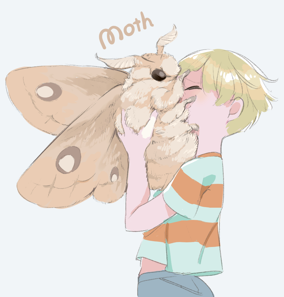 life_with_moth's tweet photo. Life with big, fluffy moths https://t.co/g0vuR5tKbz