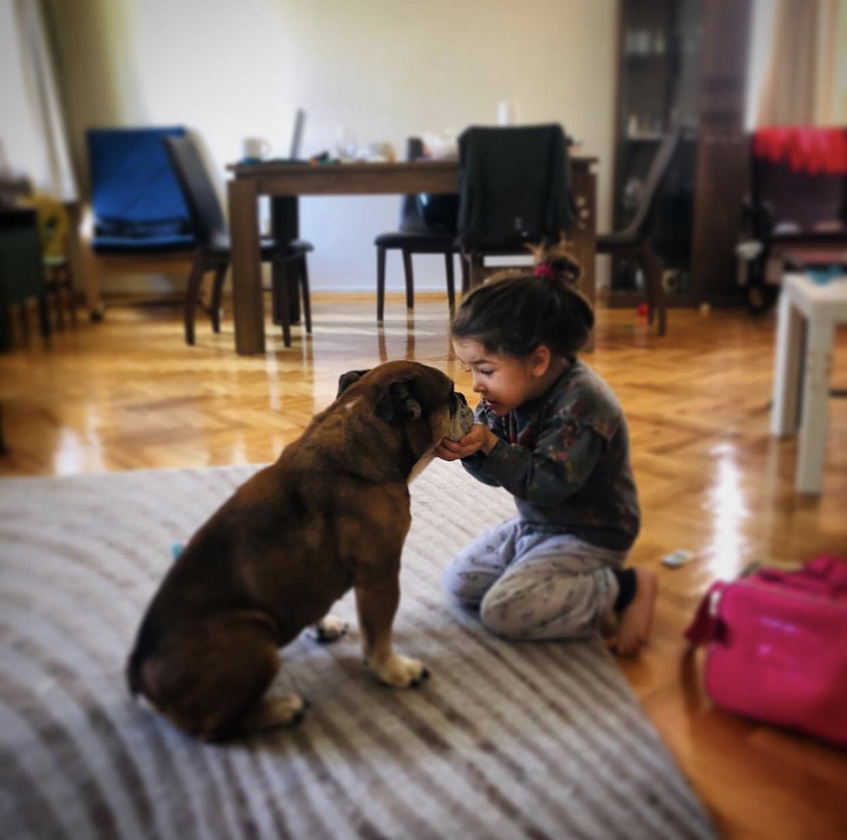 Koray Doğan Urbarlı tweet media