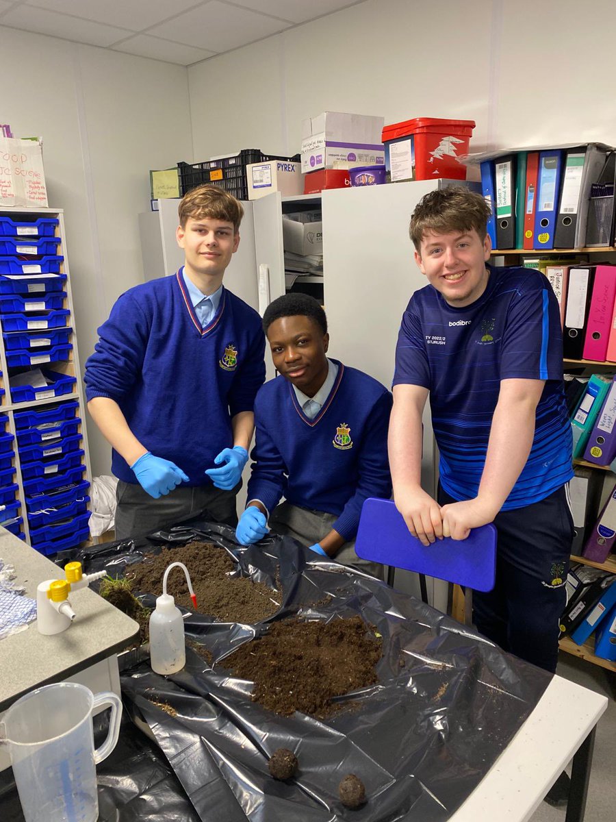 Helen Teehan tweet media