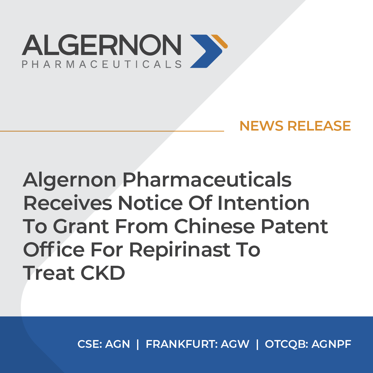 NEWS RELEASE: We are pleased to report that Algernon has received a notice of intention to grant from the Chinese Patent Office for its anti-fibrotic drug candidate NP-251 (Repirinast).

Check out the full press release 👉  bit.ly/3OlZMSX