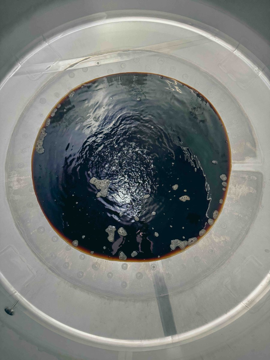 💥 Feels pretty good! Batch 100 was brewed today on our new system out at our production facility!  This beaut is a Dry Irish Stout that will be released mid February!  👀🤩  Here is to many more batches of dangerously delicious beer!