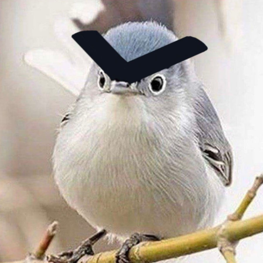 Rocky tweet media