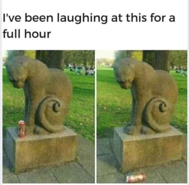CB_cycles's tweet photo. #CatsOnTwitter #CatHumour #HappyWednesday #HumpDayHumour 🤣 https://t.co/2OYh6F9fjW