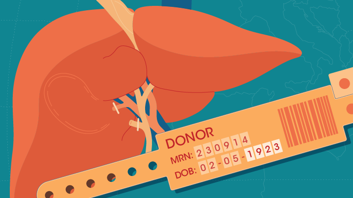 amjtransplant's tweet photo. Case Report by De Simone et al, "First-in-human liver transplantation from a centenarian deceased donor after brain death"

https://t.co/Q1aFWUPNN5 https://t.co/cOnUkKouYo