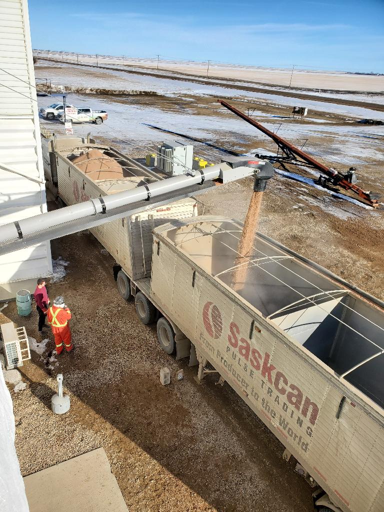 McNameeJason's tweet photo. It's a beautiful day to ship a bulk truck of @soileos to our amazing customers @EmergeAg and to growers in the Eston, SK region.

Let's go!!

#plant24 https://t.co/72WXdEZcuf