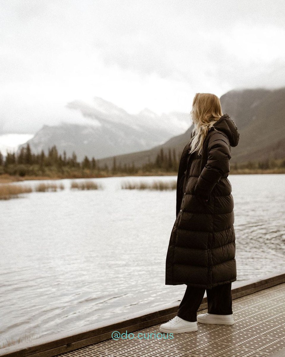 curious_do27's tweet image. Where's your favorite destination in the winter? ❄️⛸️🌨️⁠
⁠
Let us know in the comments!⁠
⁠
#DoCurious #mentalhealth #psychology #challengeyourself #screenaddiction