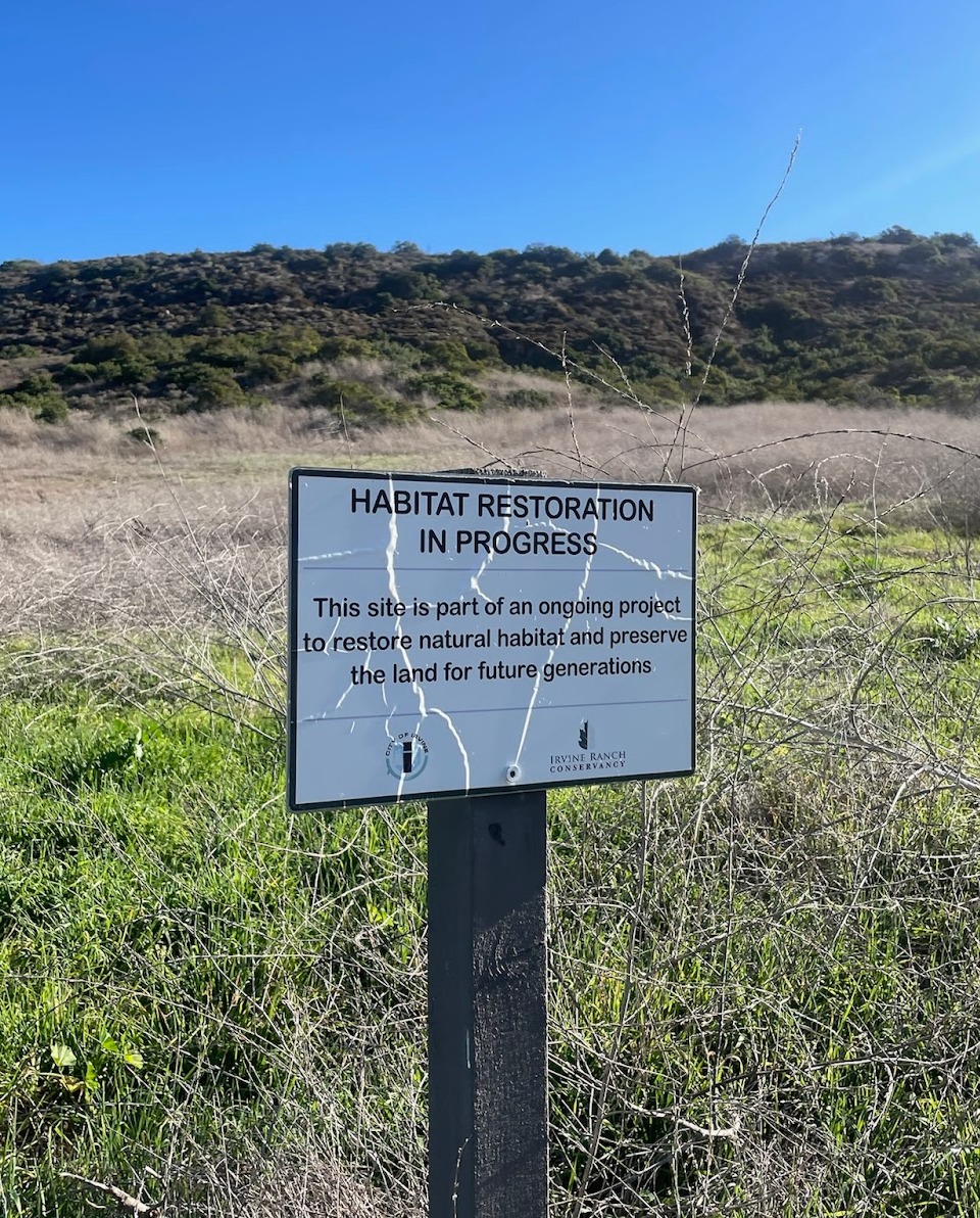 Our expertise at Irvine Ranch Conservancy is a crucial force in reviving degraded landscapes, employing diverse methods backed by the latest science. 🌱 To learn more about our habitat restoration and enhancement efforts, visit bit.ly/3OJDFmM.