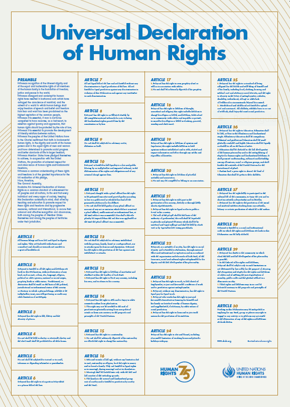 Human Rights Declaration Pdf Declaration Of Human Rights Pdf