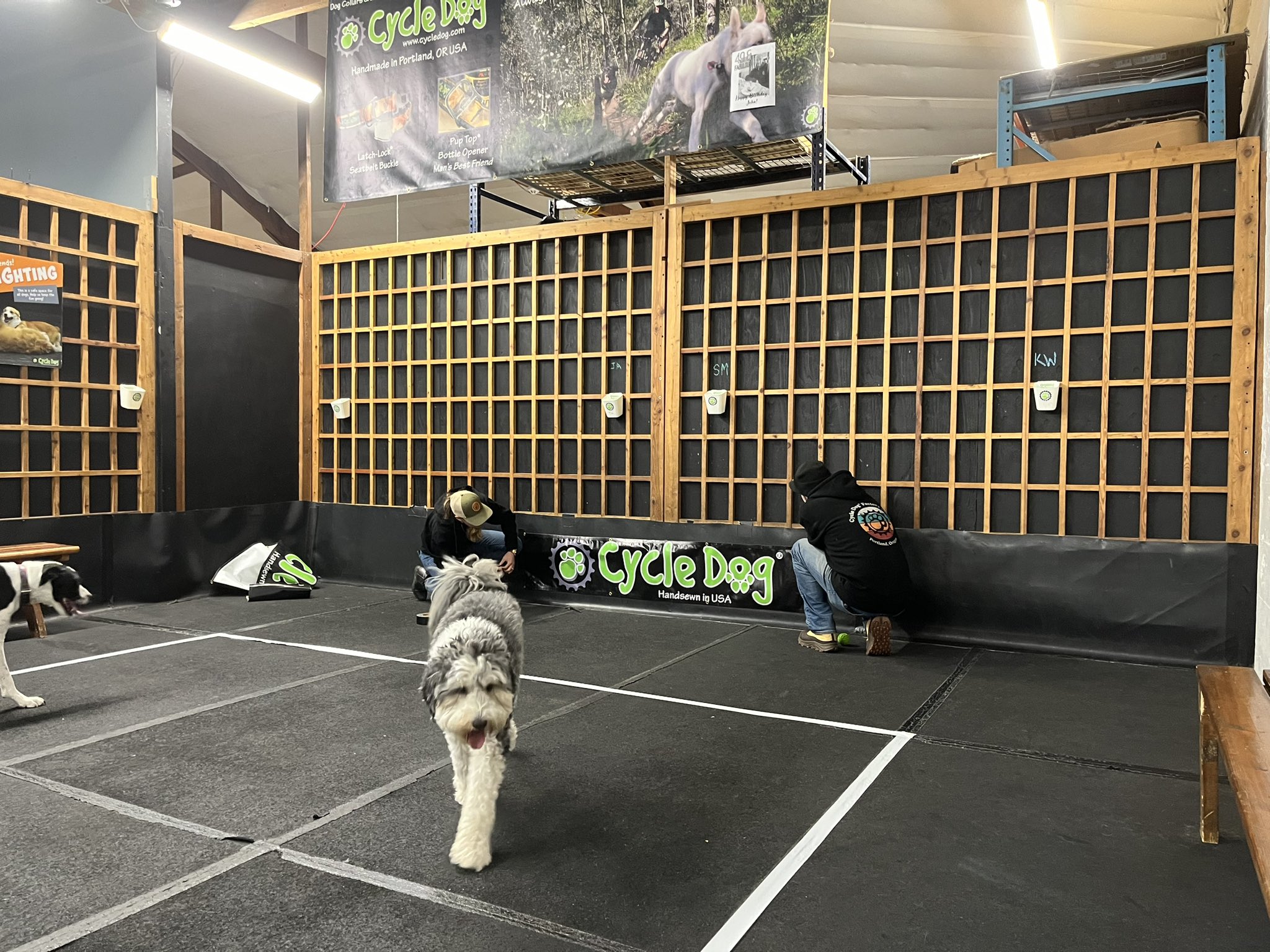 Indoor sales puppy park