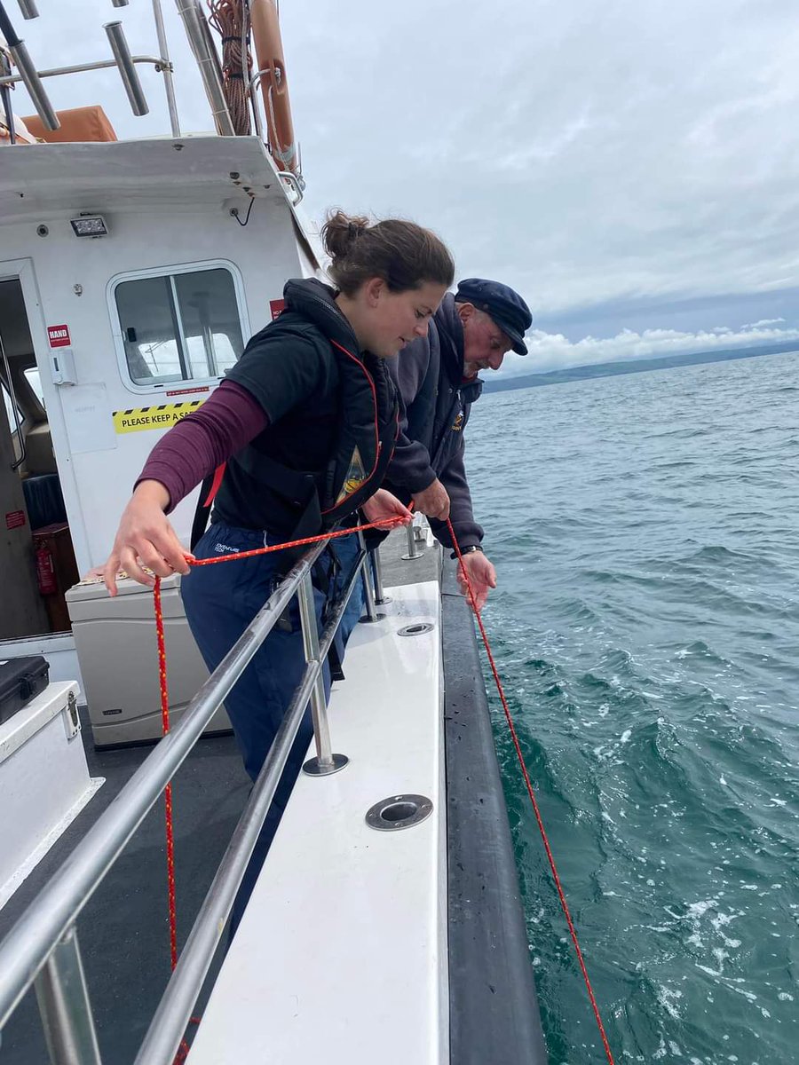 🚨 Job Alert 🚨 

<a href="/OfficialZSL/">ZSL</a> is hiring a Senior Projects Manager (12 month maternity cover).

Working across 3 exciting projects -
🦈 <a href="/ProjectSIARC/">SIARC</a> , <a href="/angelshark2014/">Angel Shark Project</a> and 🌊Bycatch

👉 Find out more here -careers.zsl.org/vacancies/62/s…

Applications by 4th Feb. Please share!