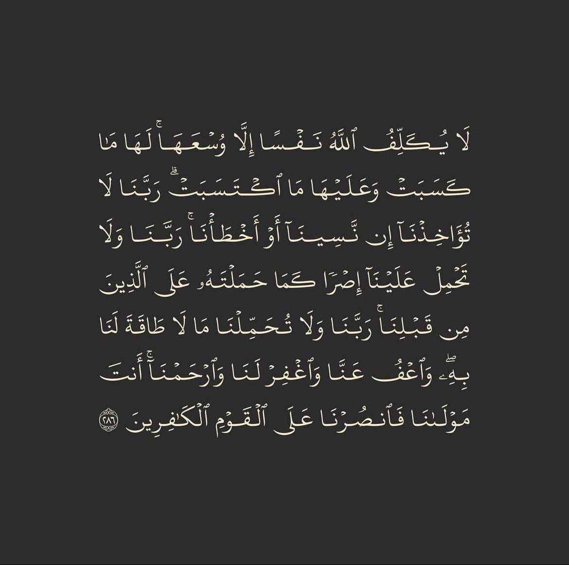 محمد tweet media