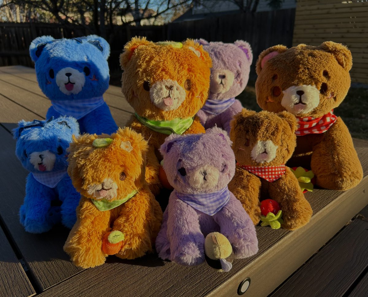 THE BEARS!!! 🧸🌷💕