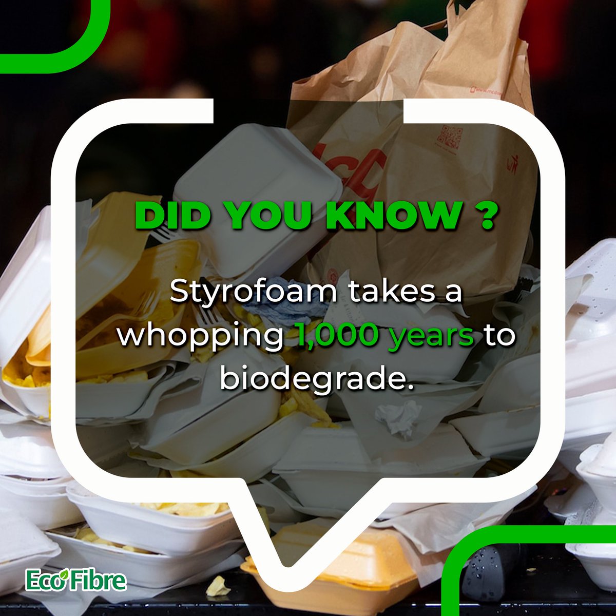 _ecofibre's tweet photo. "Time for a wake-up call! Styrofoam takes a whopping 1,000 years to biodegrade. 🌏 Let's ditch the waste and opt for greener alternatives that don't stick around for generations. 🌱💚 #ChooseSustainability #GoGreen #BreakUpWithStyrofoam https://t.co/i88KfN1oKl