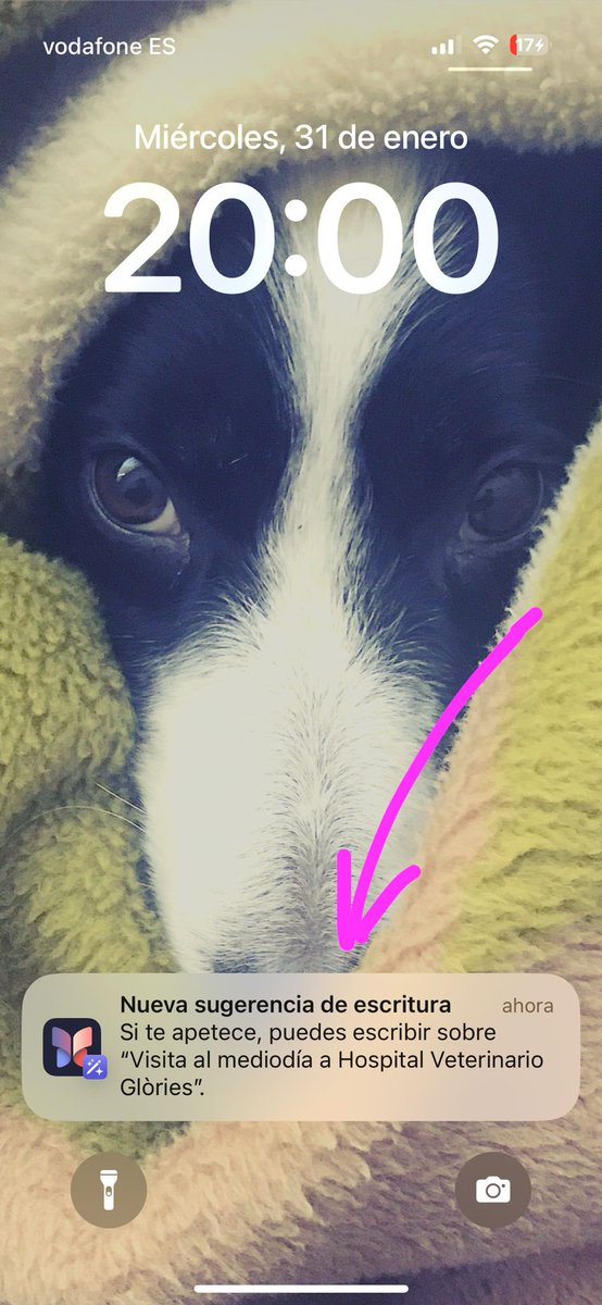 La IA de Apple no es que sea muy locuaz… ¡Borrando ‘Diario’ en 3, 2, 1!