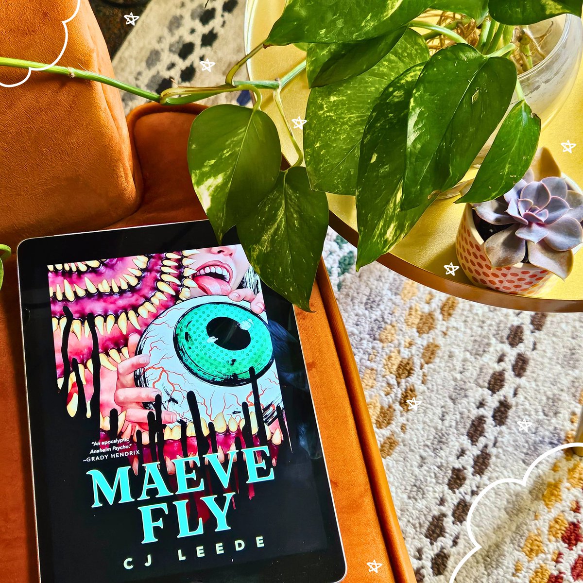 Our book club liveshow for Maeve Fly will be this Sunday February 4th at 4pm PST/ 7pm EST on my YouTube channel (link in bio)
Come join us!😊 I have three co-hosts this month, Ali <a href="/alidoisread/">Ali</a> Wren @thereadingwren and Sam <a href="/sams/">Sam Shelley</a>.little.corner 

#maevefly
#BookTwitter