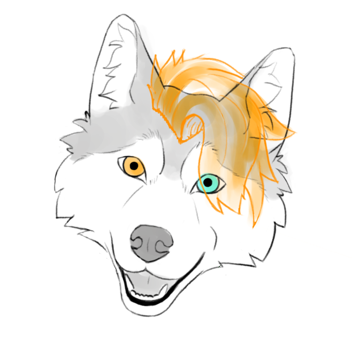 kley_sin_i's tweet photo. #furry #furryfandom #furryart #furrycommunity #furryartwork #art #furries #ilustration #digitalart https://t.co/ZwEU2e8mi8