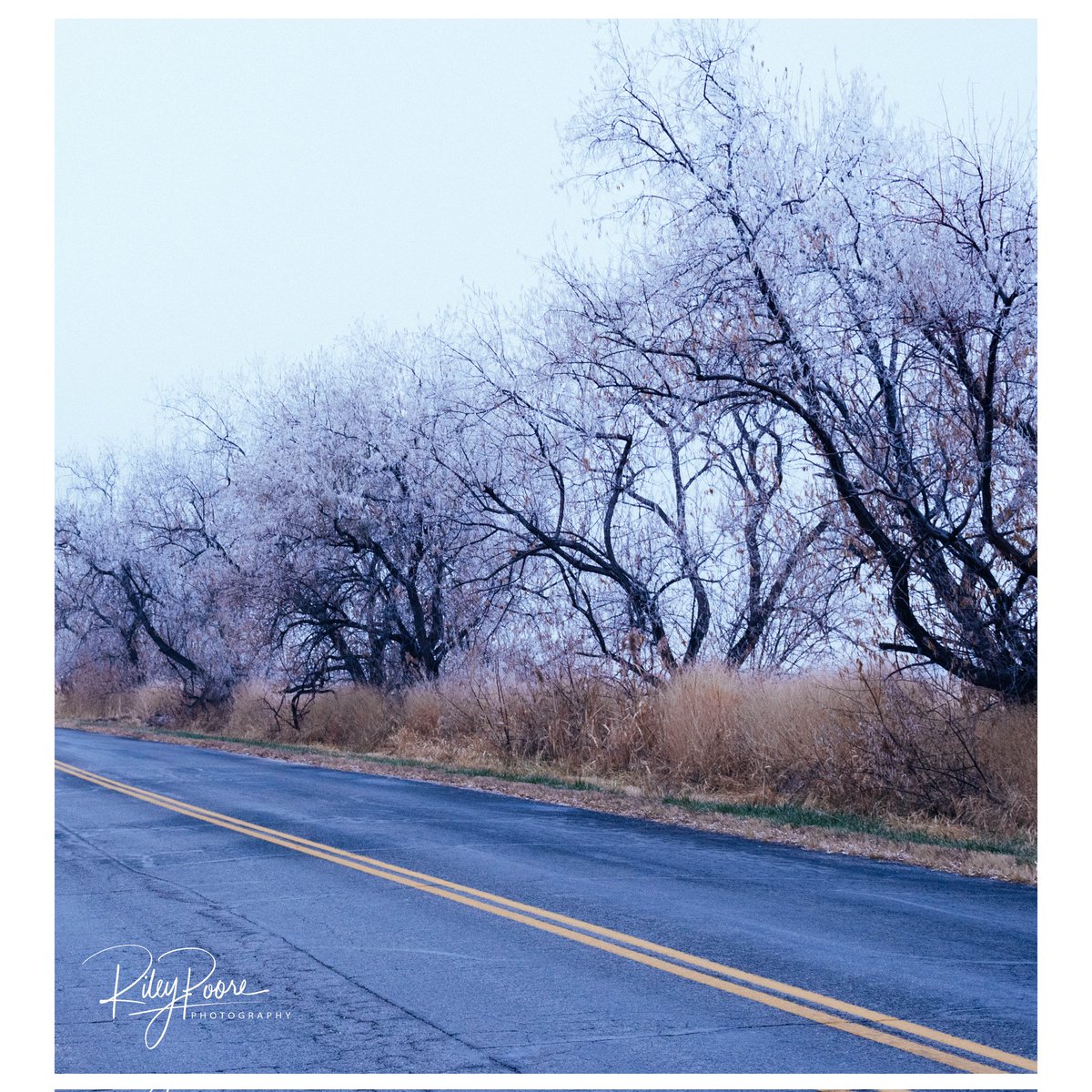 RileyPoorePhoto's tweet photo. 🧊 ice cold / 2017 ❄️
-
📸 > https://t.co/14byZ77Aw5
-
-
-
#art #photooftheday #photagraphy #cold #blue #dismal #powerlines #ice #icecrystal #trees #branches #skeletal #sillhoutte #road #field https://t.co/wGS0uesL6G