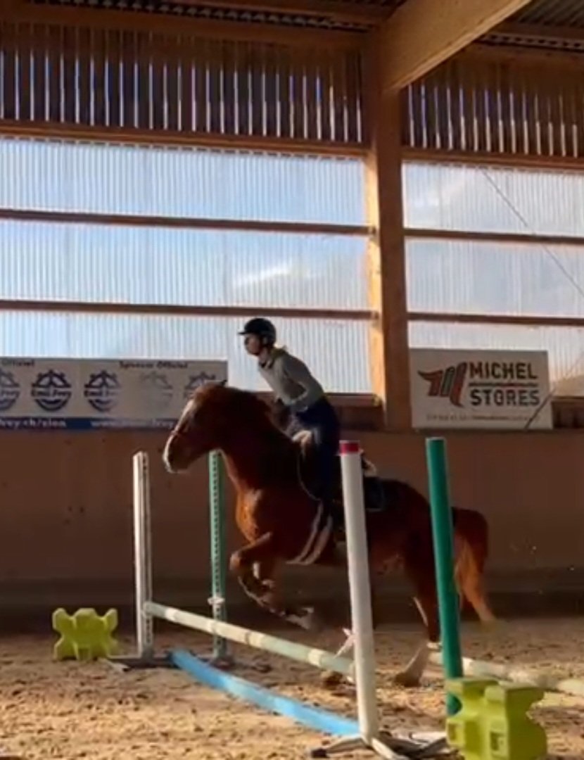 TrixiSweetCat's tweet photo. Ma fierté de 2023 c'était d'avoir sauté 70cm en aillant commencer le saut durant la même année 🥰🥰🥰
Et vous votre fierté de 2023 ? https://t.co/26klM5Zhzk