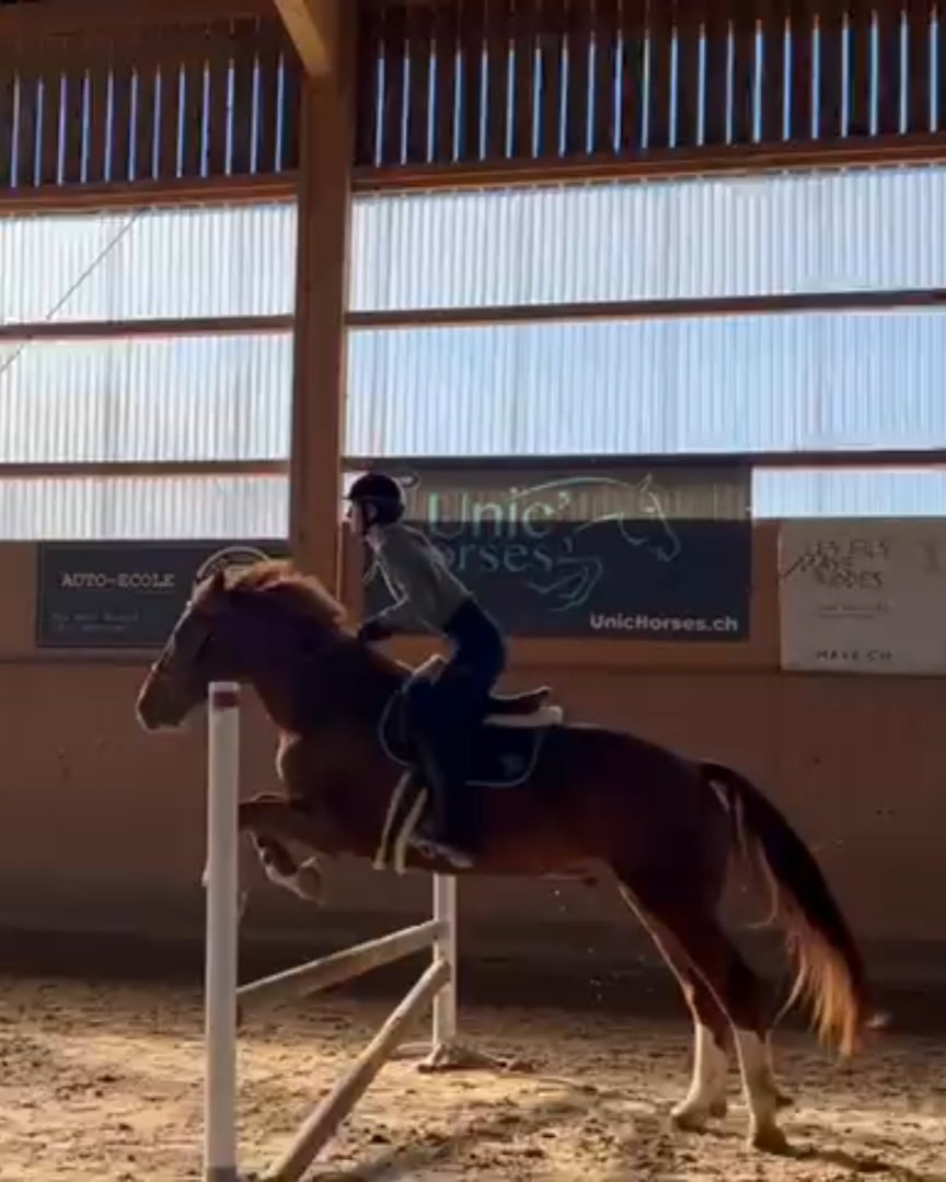 TrixiSweetCat's tweet photo. Ma fierté de 2023 c'était d'avoir sauté 70cm en aillant commencer le saut durant la même année 🥰🥰🥰
Et vous votre fierté de 2023 ? https://t.co/26klM5Zhzk