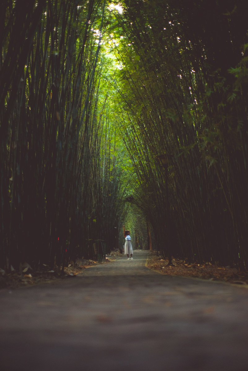 •Chasing Perfection•
.
Photographed by me
.
Check out the rest on my Insta 👇🏾
dave_hemsworth 
.
#RwOT <a href="/nyandungupark/">Nyandungu Eco-Park</a> #Kigali #Rwanda