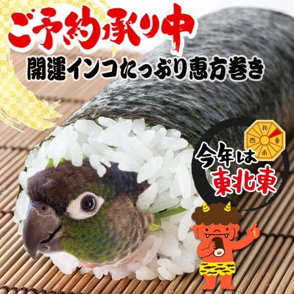 Love_Is_a_Cage's tweet photo. 【〜恵方巻、予約受付中〜】
今年もやって来ました。
インコ恵方巻。
今年は、
インコが海苔にねっとり寄り添った
インコと恵方巻のセット
と、
インコが具材の恒例インコ巻。
あなたは、どちらがお好み？
#Phoshop の合成画像
#恵方巻 嘘画像。 https://t.co/Yd1mc509Az
